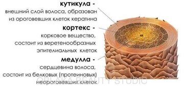 Что нужно для ламинирования ресниц